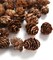 Pine Cones, Mini Pinecones in Bulk for Crafts, 8OZ, Pack of 110 (Natural)